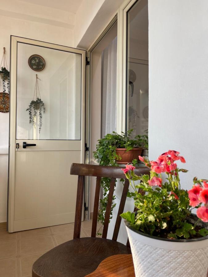 Leo'S Apartment Shkodër 외부 사진